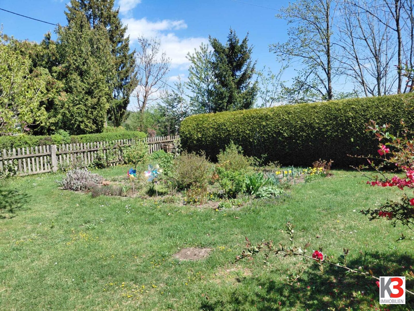 Immobilienfoto