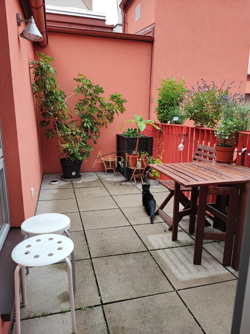Immobilienfoto