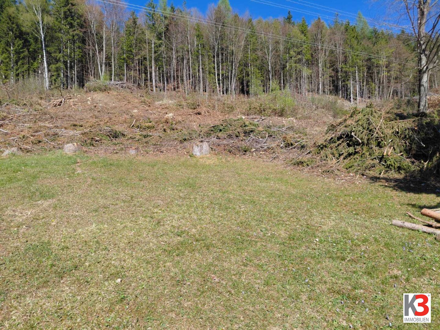 Immobilienfoto